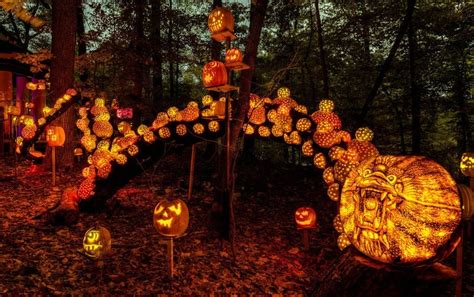 Halloween Enchantments: Spells for Personal Transformation